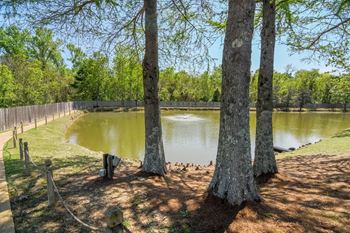 The pond is surrounded by trees and a fence